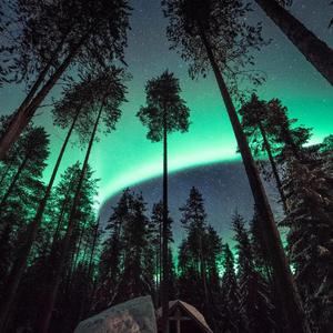 _小锋雪白的屁股
